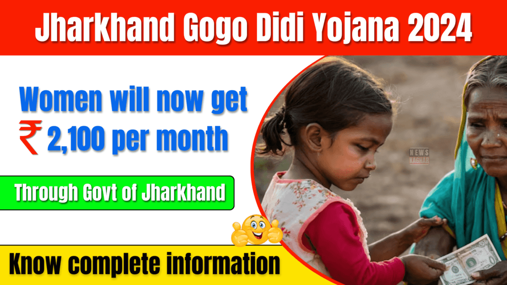 Gogo Didi Yojana 2024