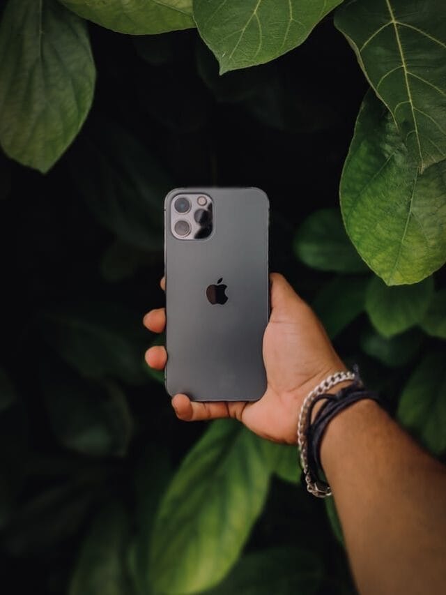 pexels-vickygraphy-13367286