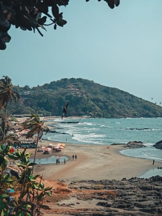 New Year Party Spots In Goa