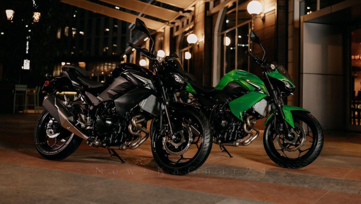 Kawasaki Z300 Launched In India